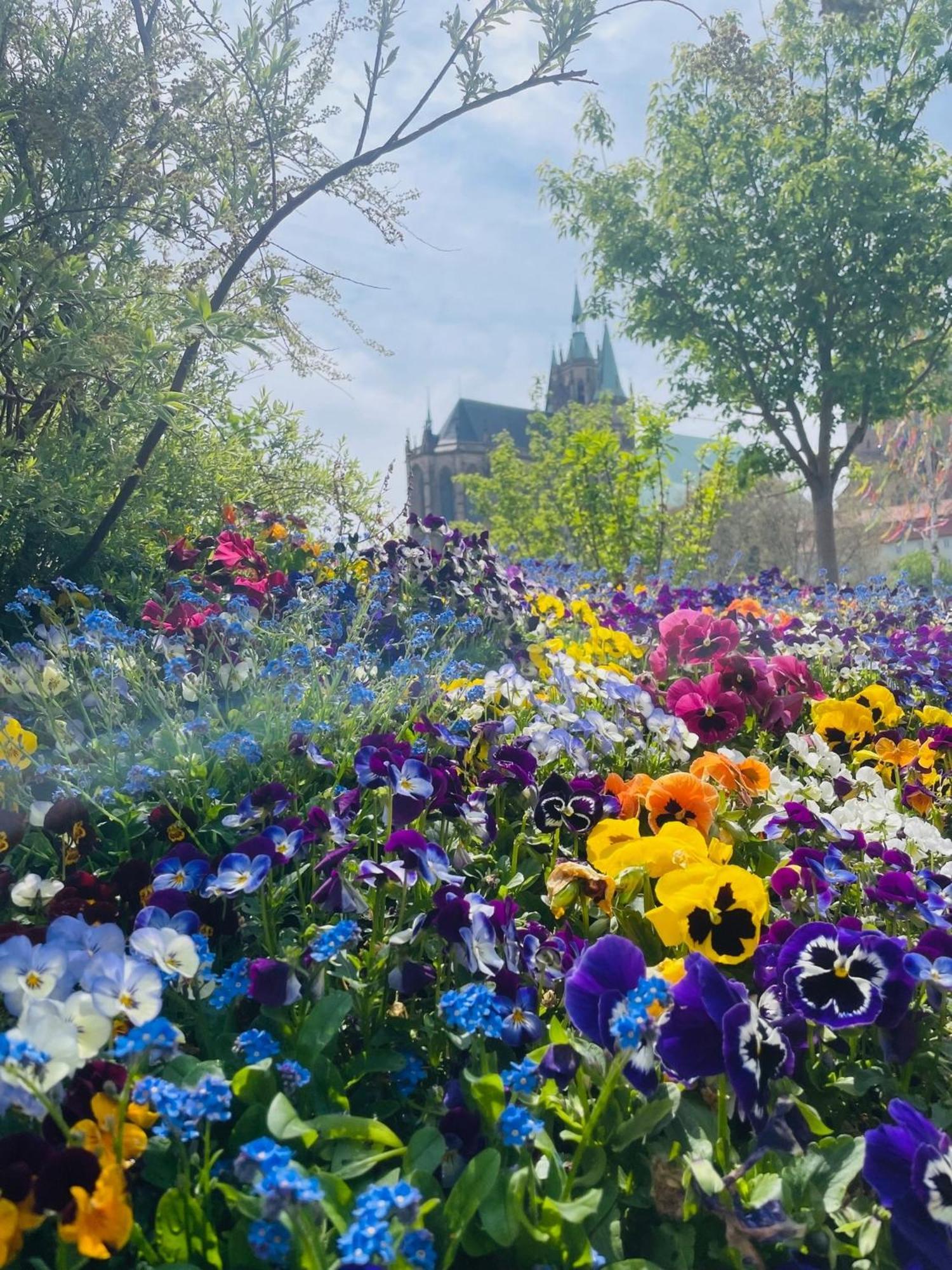 "Erfurt Geniessen" Apartment ภายนอก รูปภาพ